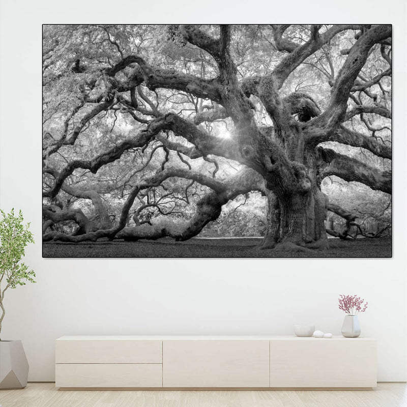 Monochrome Angel Oak Tree Wall Art