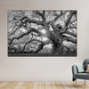 Monochrome Angel Oak Tree Wall Art