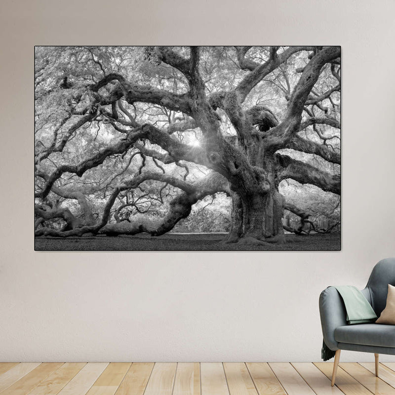 Monochrome Angel Oak Tree Wall Art