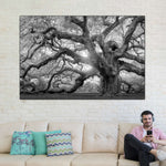 Monochrome Angel Oak Tree Wall Art
