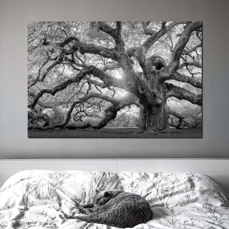 Monochrome Angel Oak Tree Wall Art