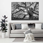 Monochrome Angel Oak Tree Wall Art
