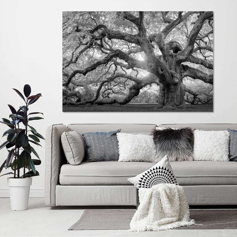 Monochrome Angel Oak Tree Wall Art
