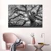 Monochrome Angel Oak Tree Wall Art