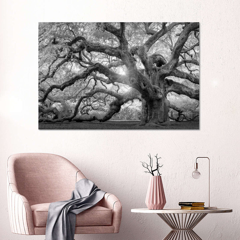 Monochrome Angel Oak Tree Wall Art