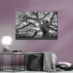 Monochrome Angel Oak Tree Wall Art