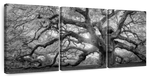 Monochrome Angel Oak Tree Wall Art