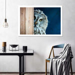 Peeking Owl Wall Art