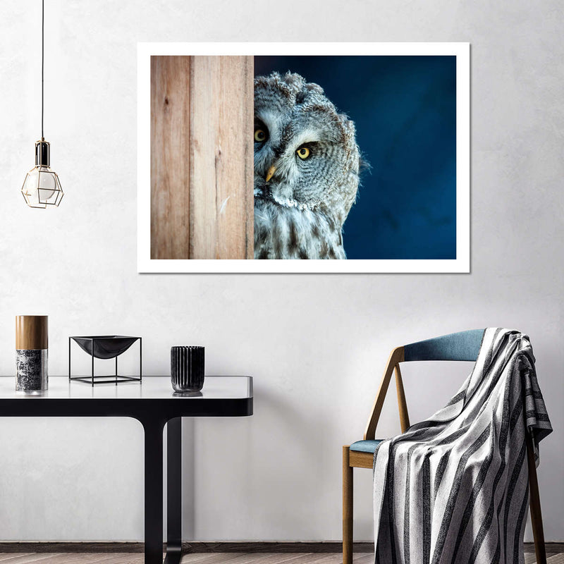 Peeking Owl Wall Art