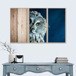 Peeking Owl Wall Art