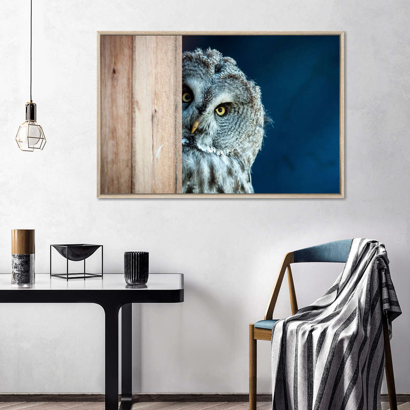 Peeking Owl Wall Art