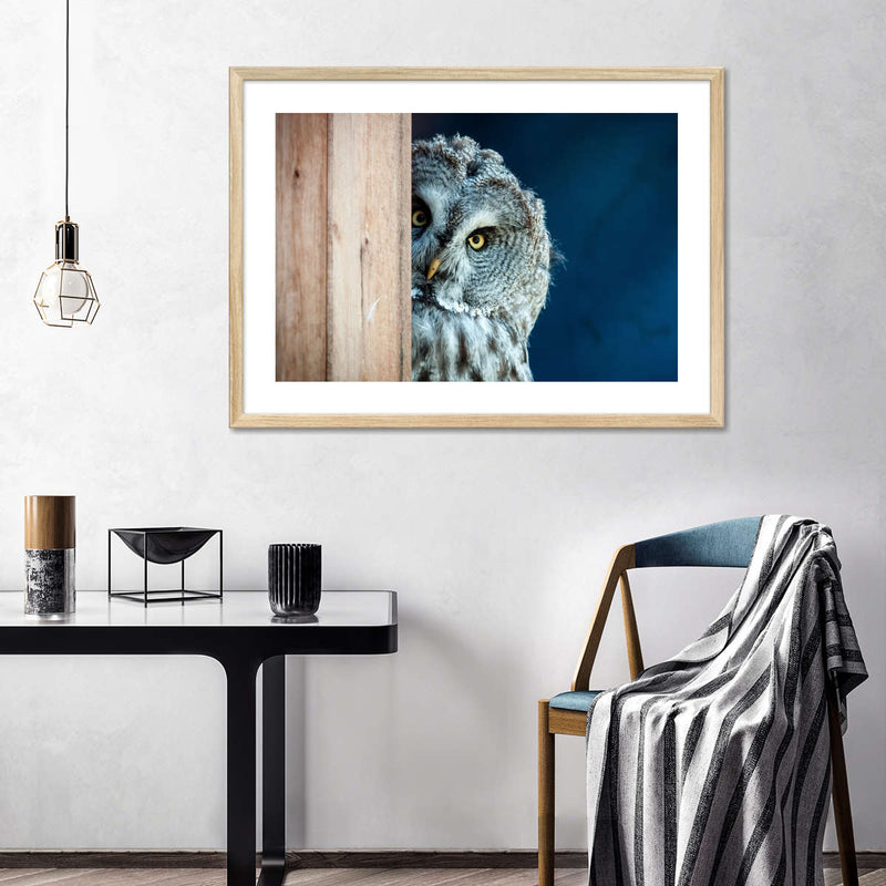 Peeking Owl Wall Art