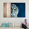 Peeking Owl Wall Art
