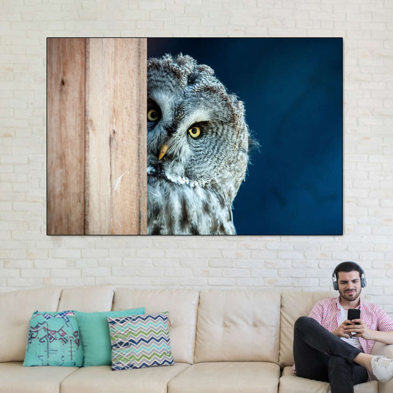 Peeking Owl Wall Art