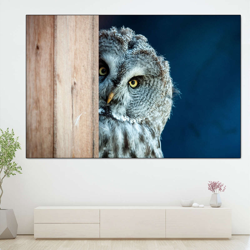 Peeking Owl Wall Art