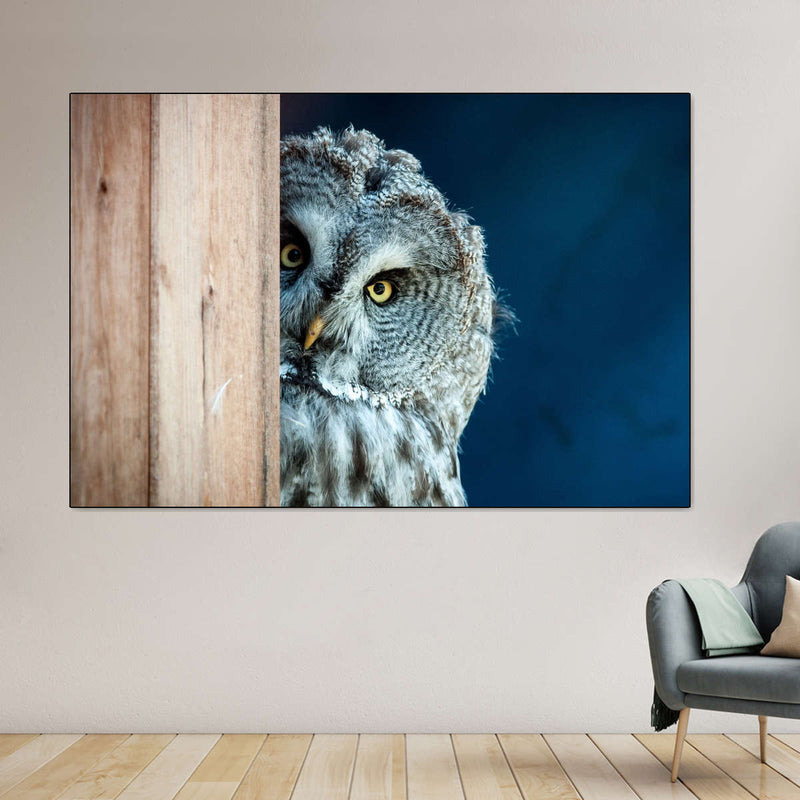 Peeking Owl Wall Art