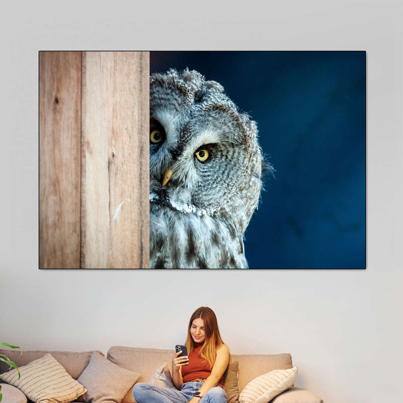 Peeking Owl Wall Art