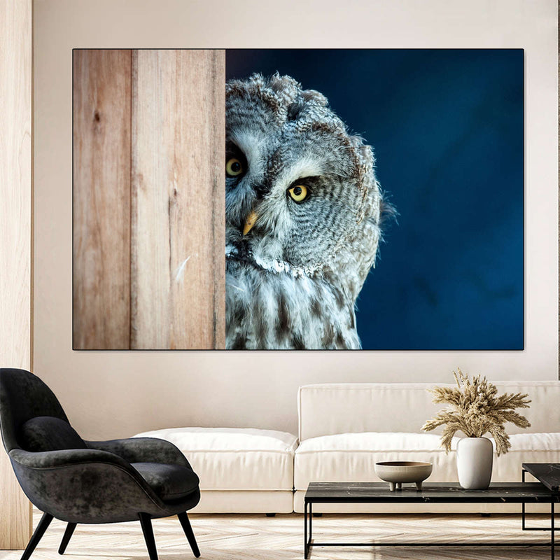 Peeking Owl Wall Art