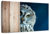 Peeking Owl Wall Art