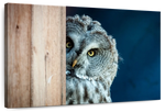 Peeking Owl Wall Art