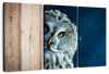 Peeking Owl Wall Art