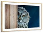 Peeking Owl Wall Art