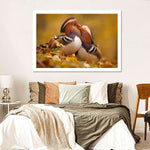 Loving Mandarin Ducks Wall Art