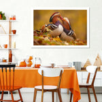 Loving Mandarin Ducks Wall Art