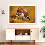 Loving Mandarin Ducks Wall Art