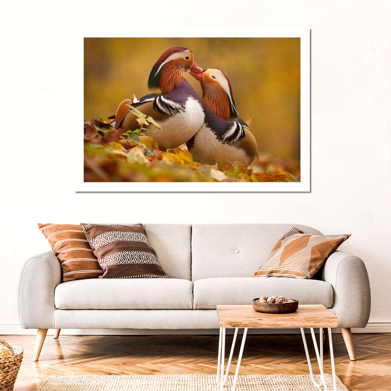 Loving Mandarin Ducks Wall Art