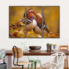 Loving Mandarin Ducks Wall Art