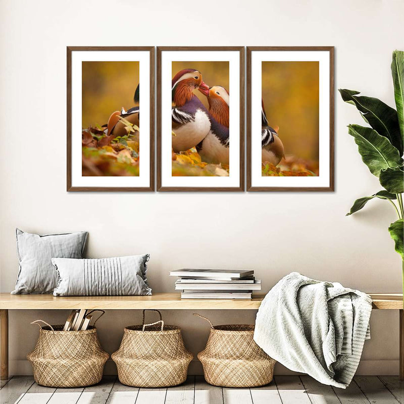 Loving Mandarin Ducks Wall Art