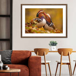 Loving Mandarin Ducks Wall Art