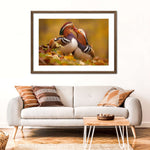 Loving Mandarin Ducks Wall Art