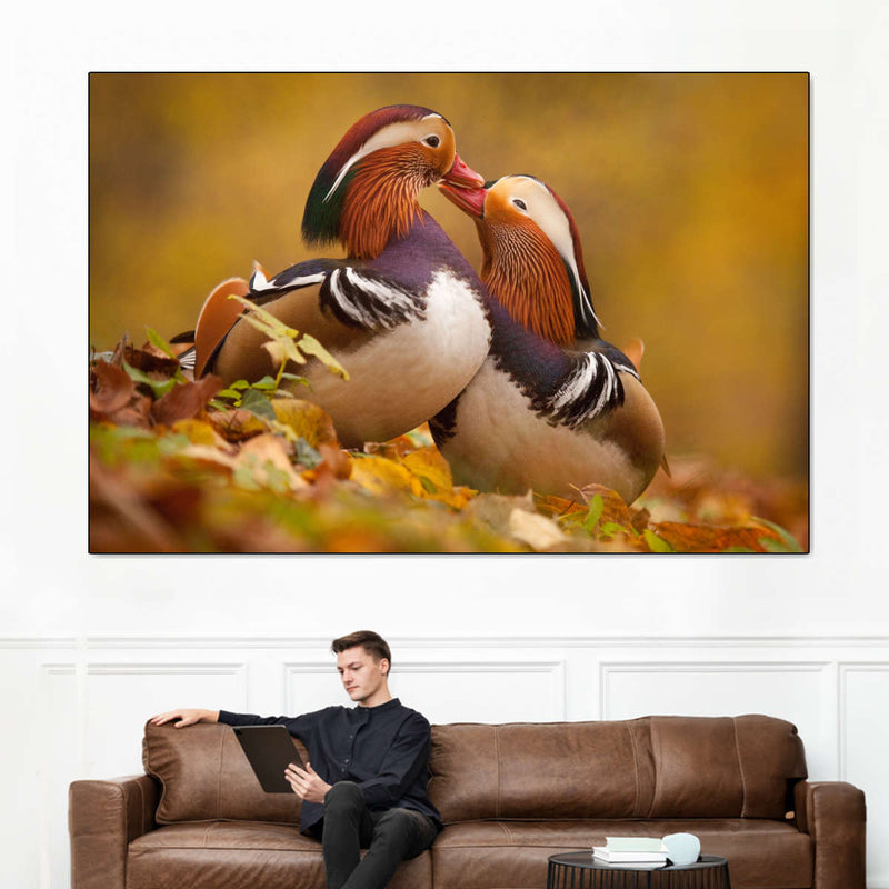 Loving Mandarin Ducks Wall Art