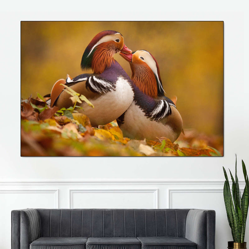 Loving Mandarin Ducks Wall Art