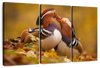 Loving Mandarin Ducks Wall Art