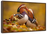 Loving Mandarin Ducks Wall Art