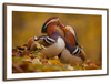 Loving Mandarin Ducks Wall Art