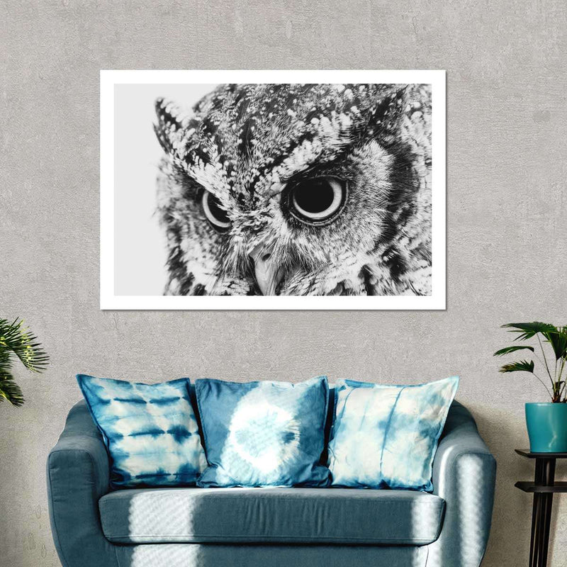 Staring Owl Wall Art