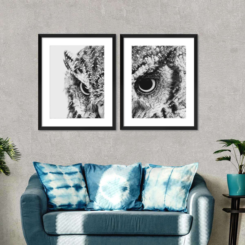 Staring Owl Wall Art
