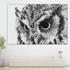 Staring Owl Wall Art