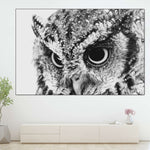 Staring Owl Wall Art