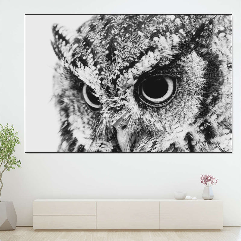 Staring Owl Wall Art