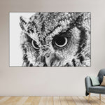 Staring Owl Wall Art
