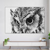 Staring Owl Wall Art