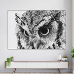 Staring Owl Wall Art
