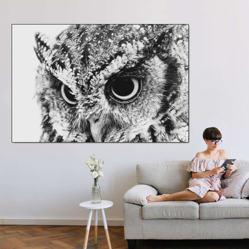 Staring Owl Wall Art