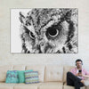 Staring Owl Wall Art