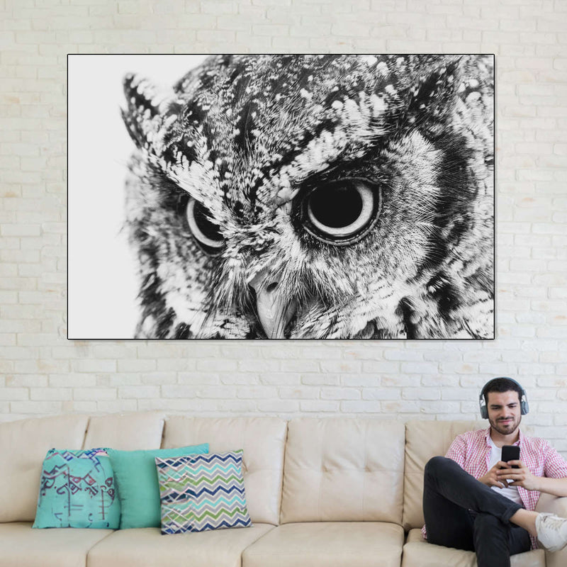 Staring Owl Wall Art